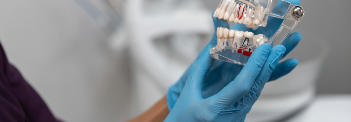 Dental Services in North Little Rock AR
